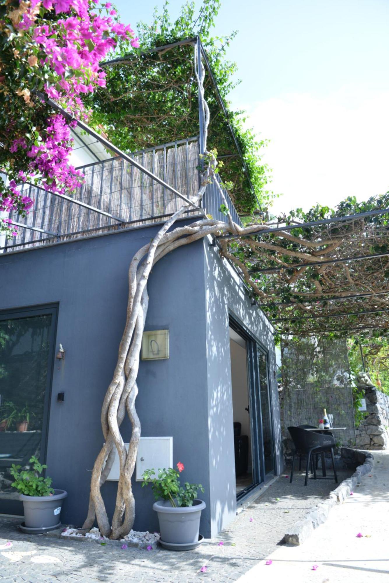 アルコ・ダ・カリェタQuinta Golfinhoアパートメント エクステリア 写真